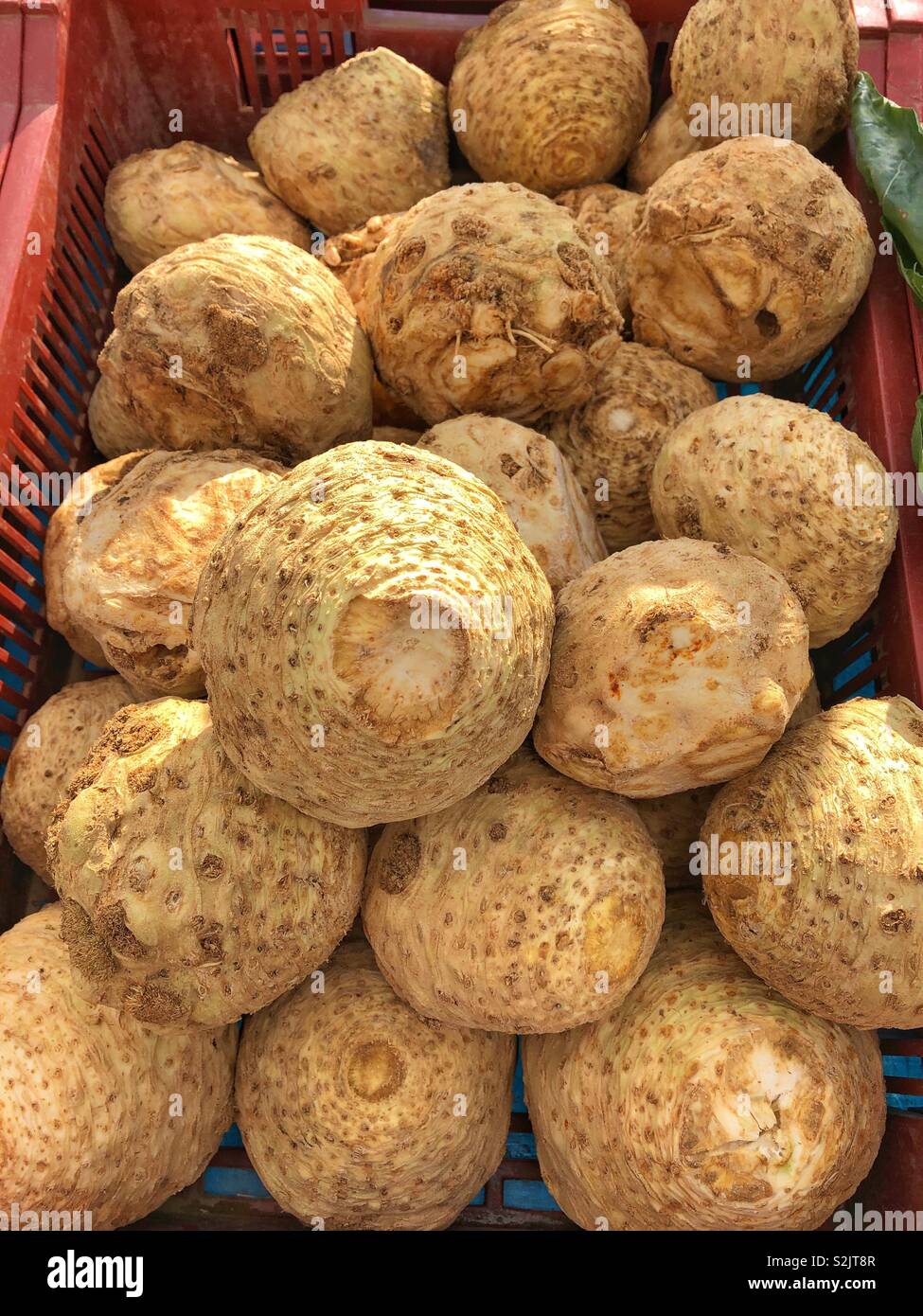 Celeriac for sale in a french market Stock Photo