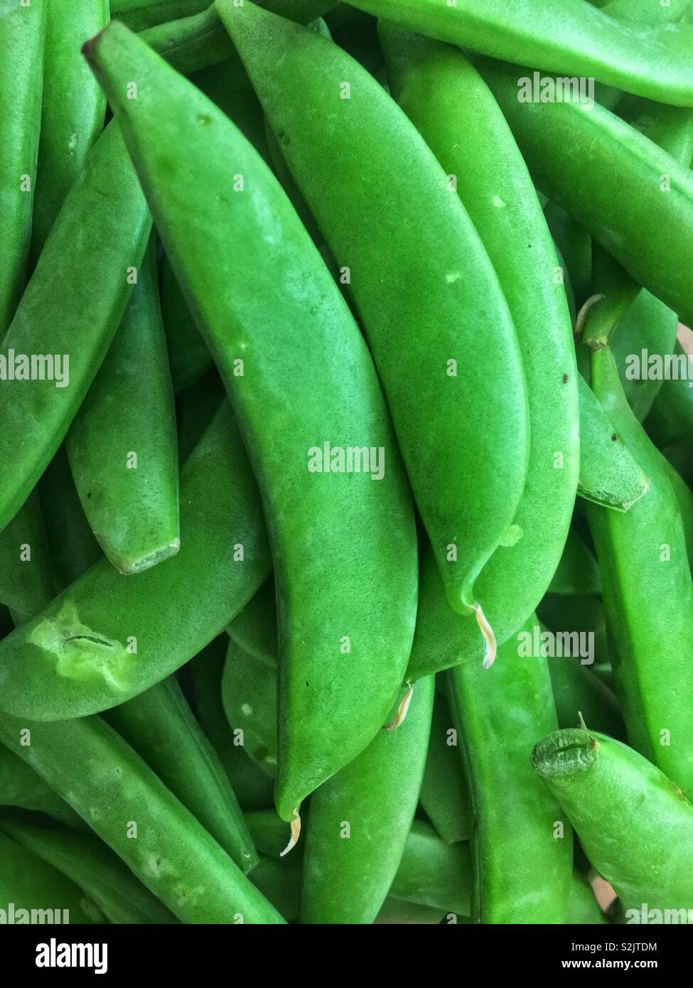 Closeup of a batch of fresh green snap peas. - Smartphone Captured Stock Image