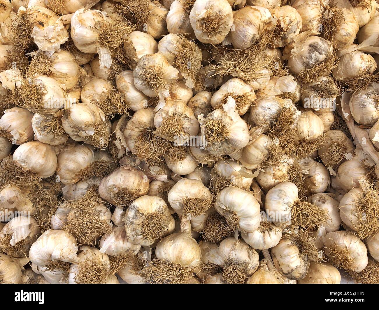 Garlic bulbs for sale in a french market town - Smartphone Captured Stock Image