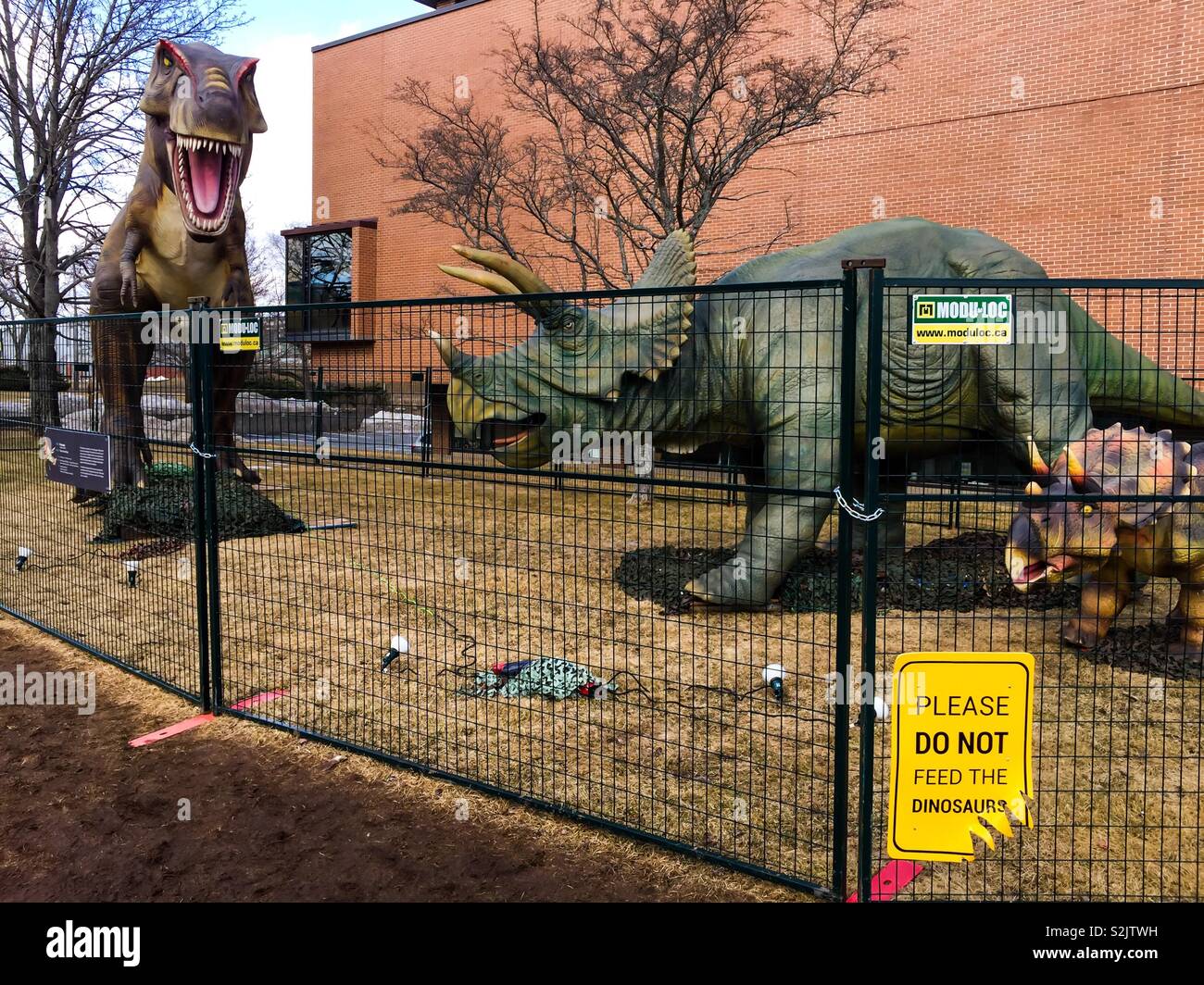 Do not feed the dinosaurs - Smartphone Captured Stock Image