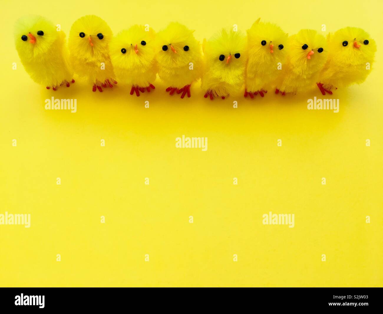 Easter chicks on a yellow background - Smartphone Captured Stock Image