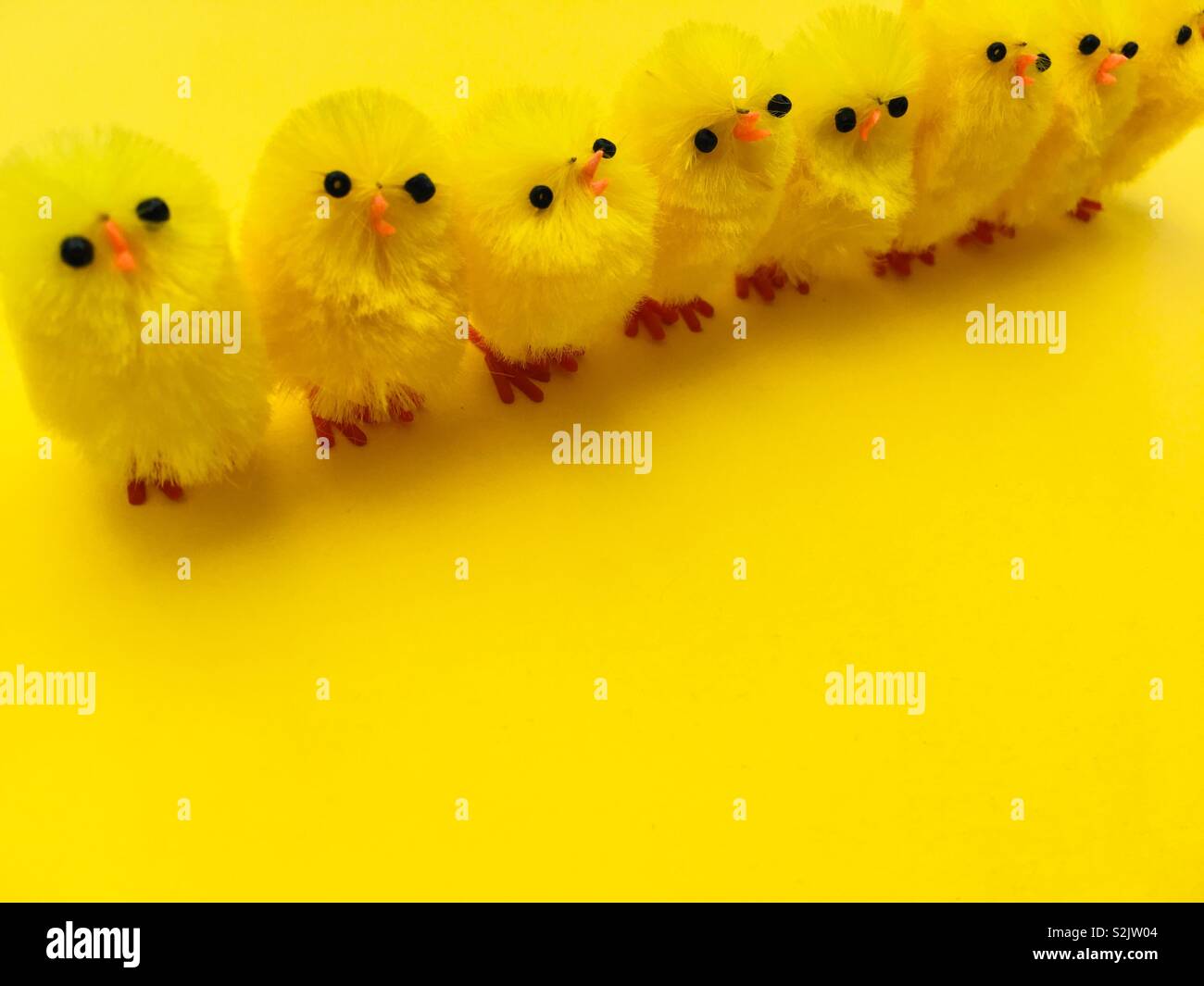 Easter chicks on a yellow background - Smartphone Captured Stock Image