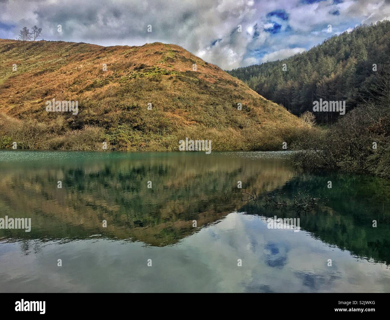 Mirror image of reservoir in margam surrounded by fir trees Stock Photo