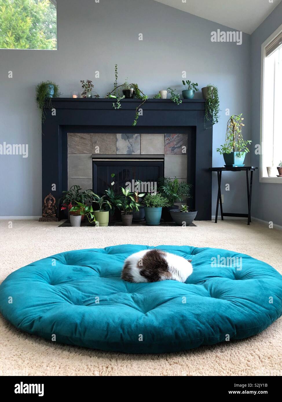 Giant cushion outlet bed