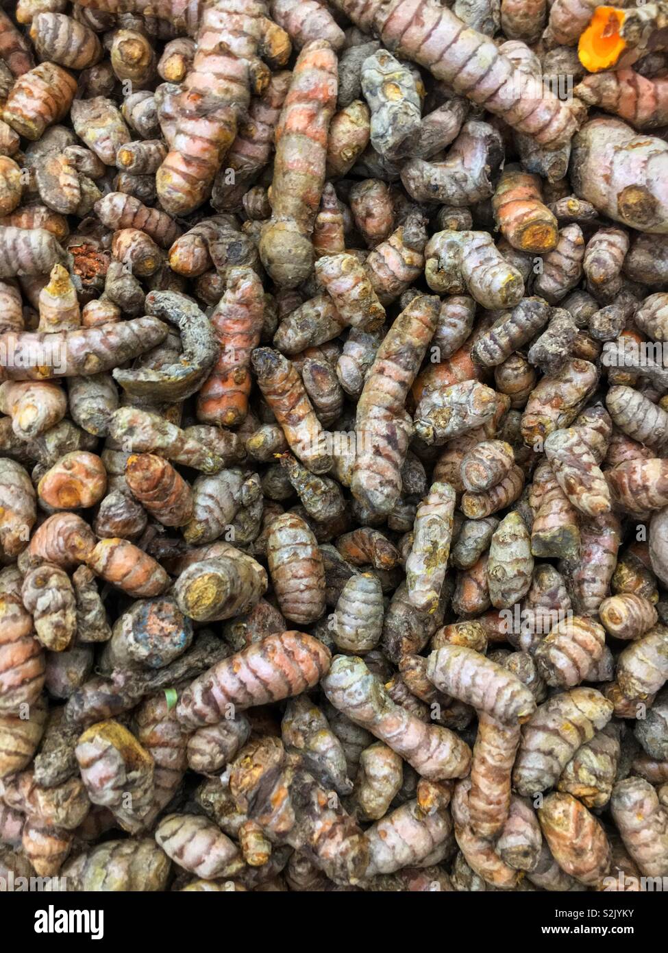 Fresh turmeric root on display and for sale at the local produce vendor. Stock Photo