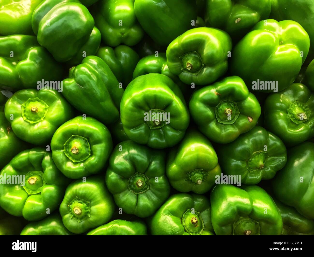 Delicious fresh green peppers piled high on display and for sale at the local produce vendor. Stock Photo