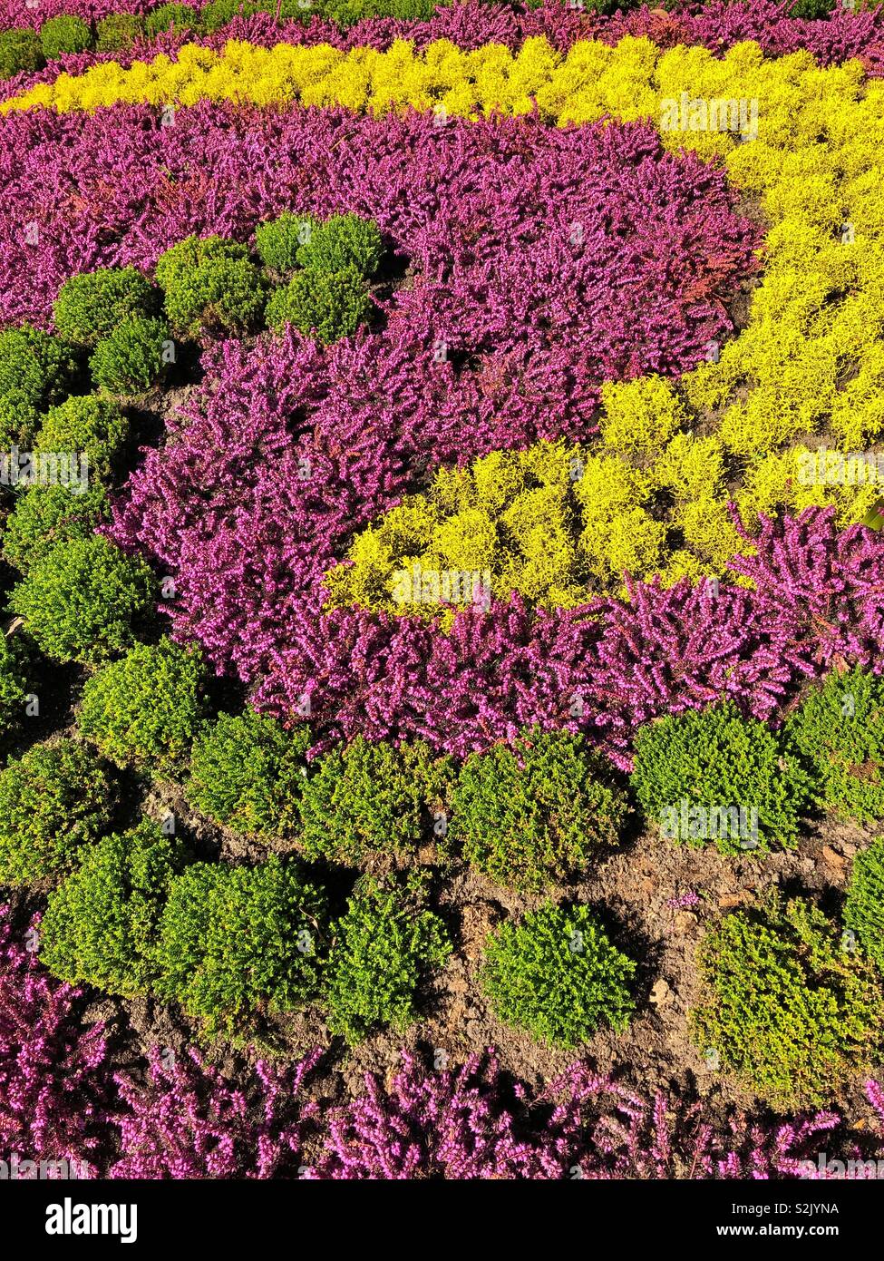 Colourful plants hi-res stock photography and images - Alamy