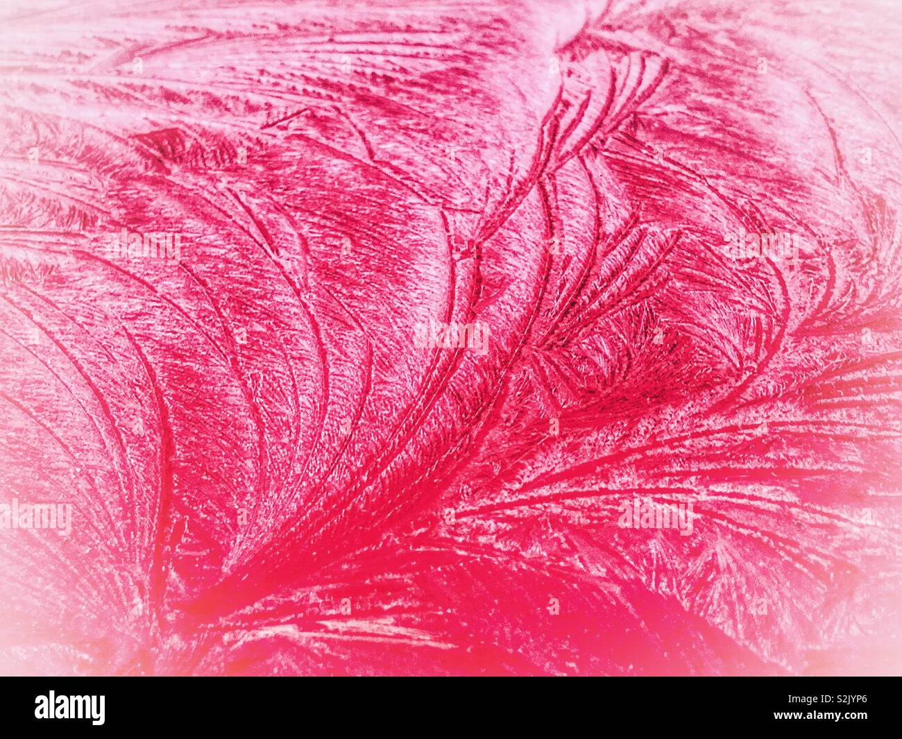 Ice patterns on a red car roof background - Smartphone Captured Stock Image