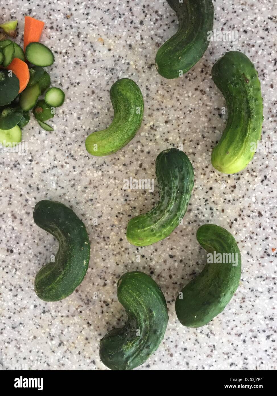 Pickling Cucumbers Stock Photo