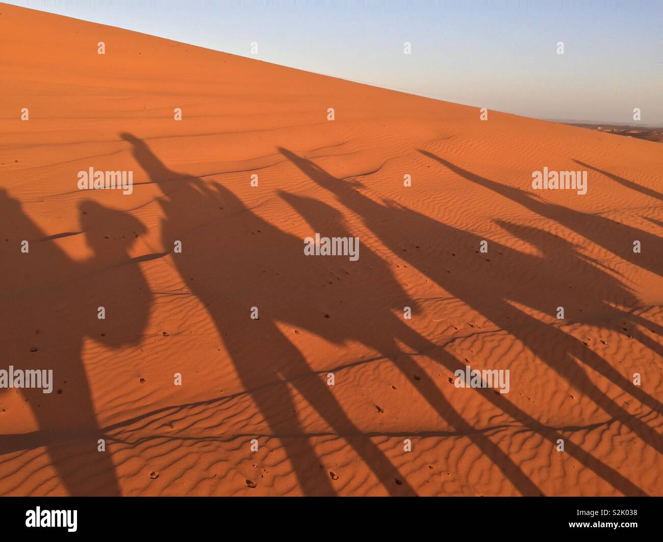 Camel shadows on sand dunes in Sahara desert, Merzouga, erg chebbi, morocco, africa Stock Photo