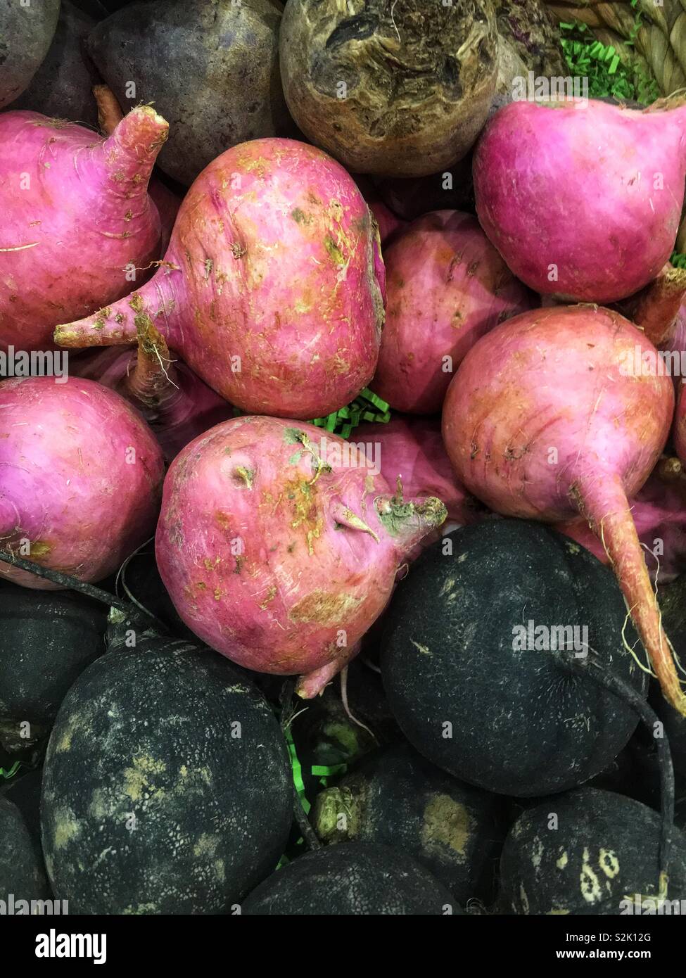 Fresh produce huge red and black radishes piled in a bin. Stock Photo
