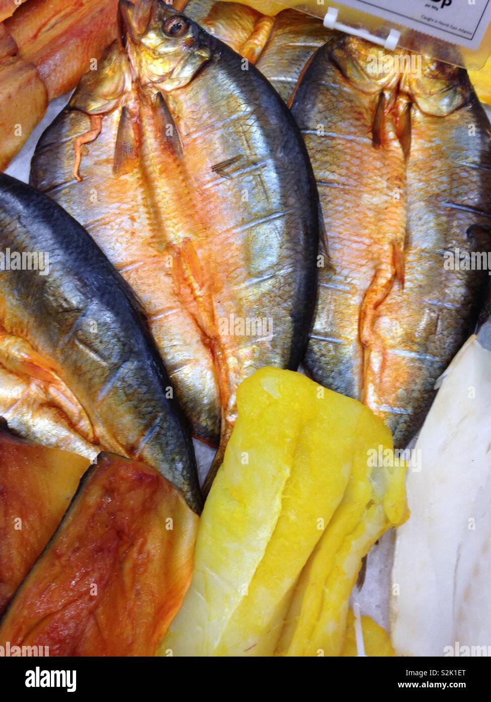 Fishy business - Smartphone Captured Stock Image