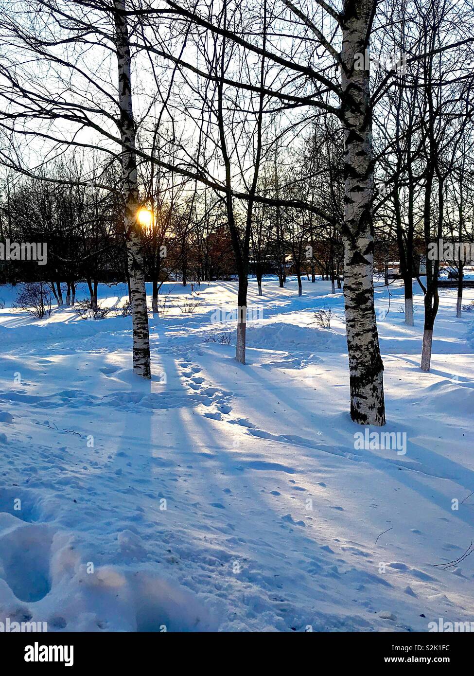 Winter Park Landscape Illuminated by the Evening Sun - Smartphone Captured Stock Image