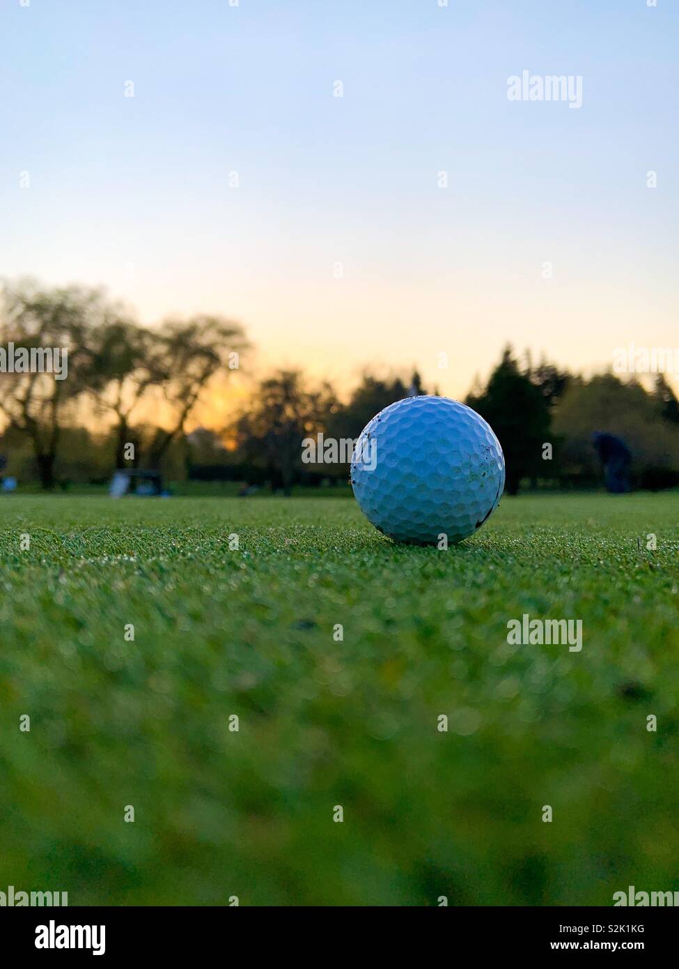 Golf Ball on the Green Stock Photo Alamy