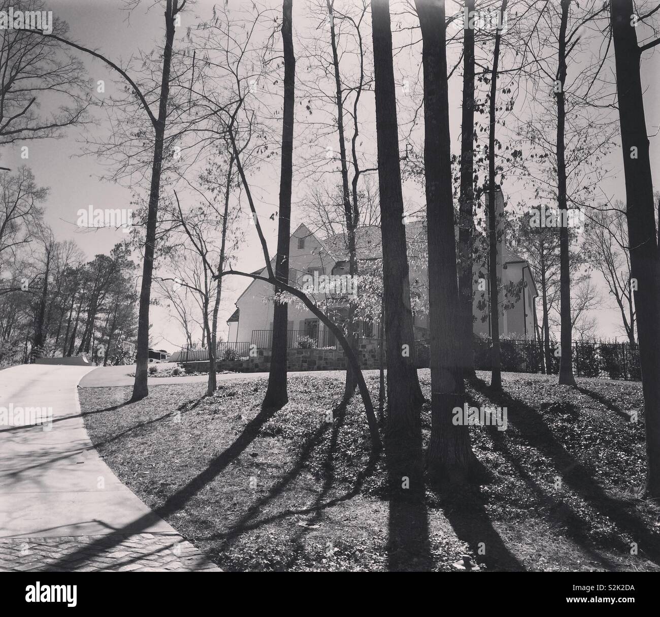 Black and white image of trees and shadows in front of a large home, Atlanta, Georgia, United States - Smartphone Captured Stock Image