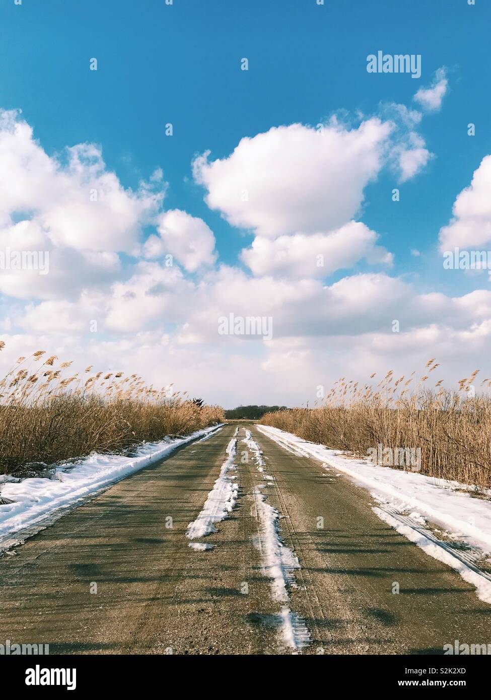 Looking down the middle of a snowy dirt road on the coast of Connecticut, USA. Stock Photo