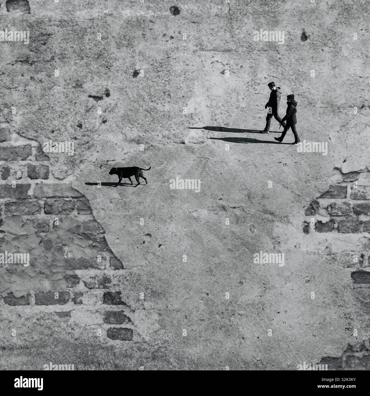 Black and white image of a couple walking the dog in bright sunshine. Photo overlaid with rendered brick wall effect Stock Photo