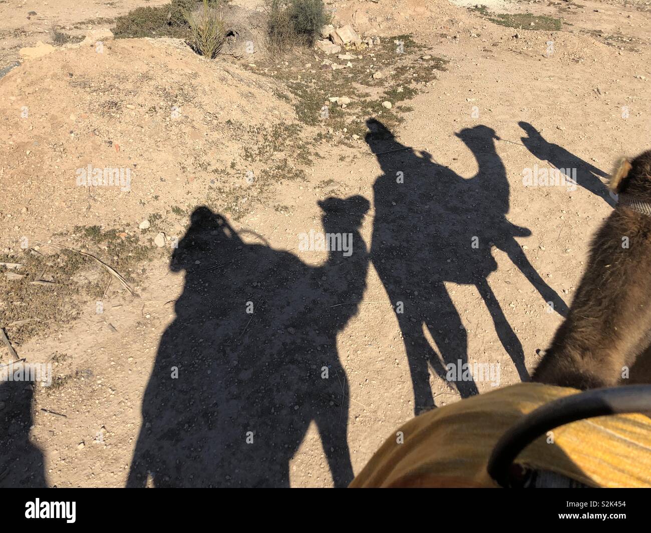 Camel ride, Marrakesh Stock Photo