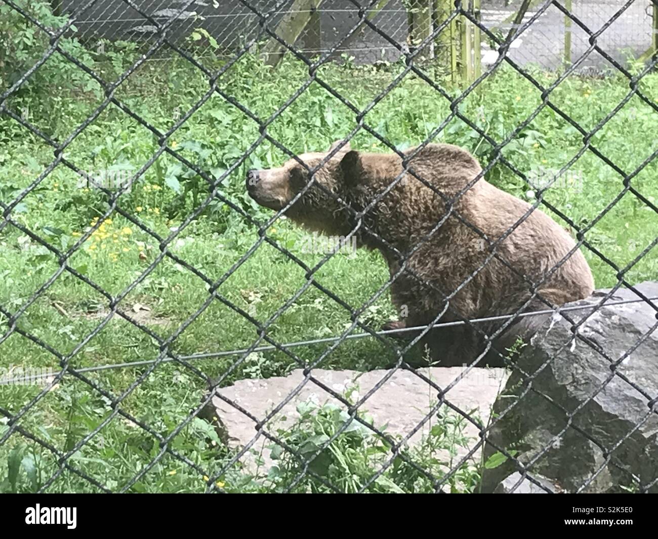 Animal enclosure zoo hi-res stock photography and images - Alamy