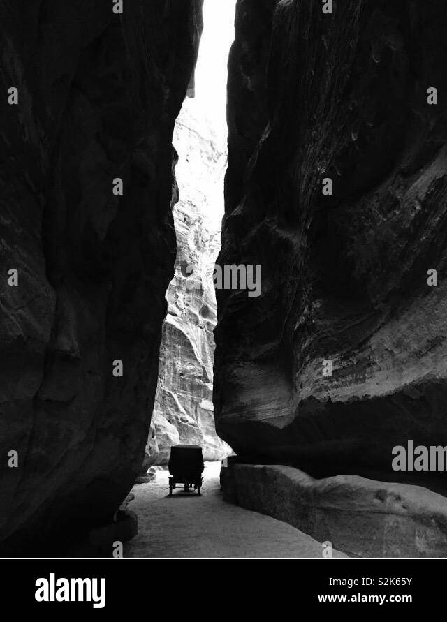 THE PETRA BLACK main image 1