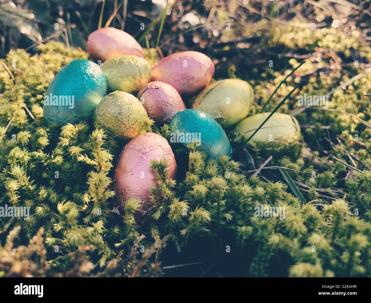 Colourfully wrapped chocolate Easter Eggs in moss outside on a sunny spring day. - Smartphone Captured Stock Image