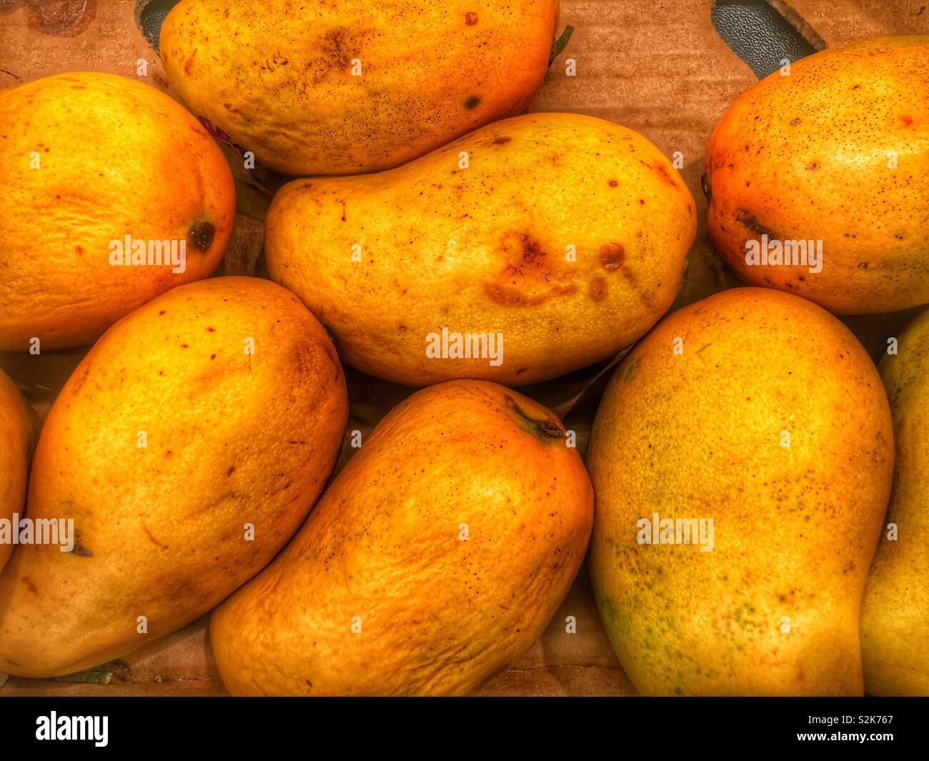 What Is a Honey Mango?