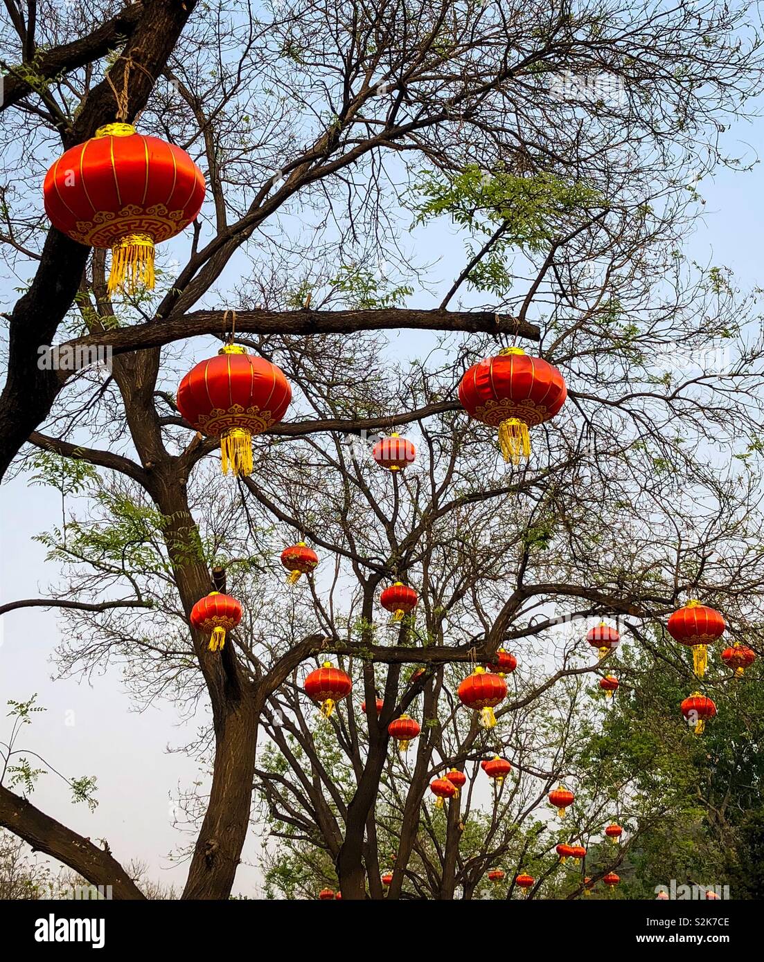 Lanterns hanging from trees in hi-res stock photography and images - Alamy