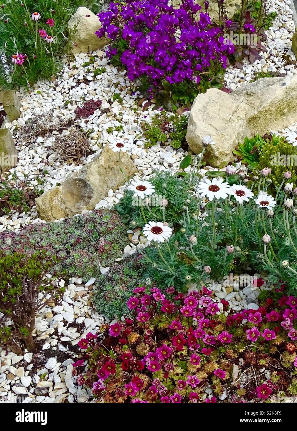 Rockery flowers hires stock photography and images Alamy