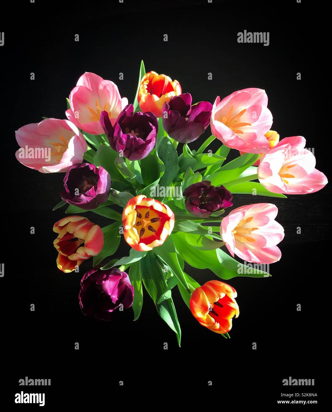 Top down shot of a bouquet of tulip flowers - Smartphone Captured Stock Image