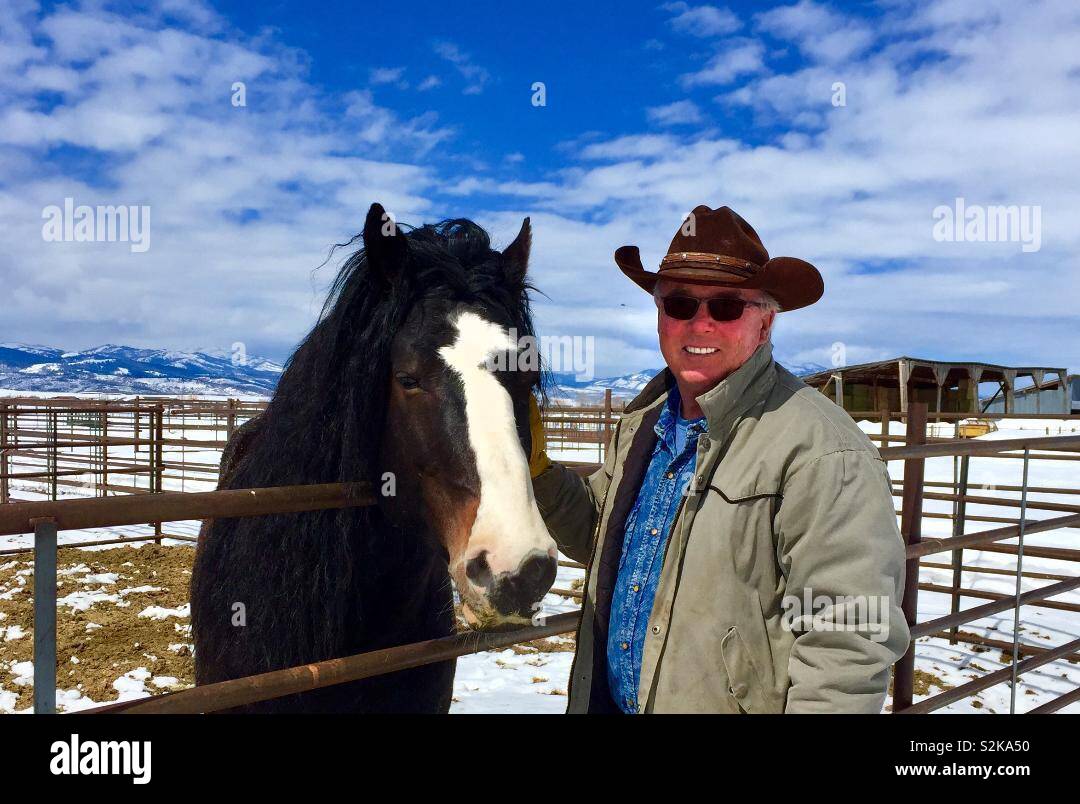 Wyoming rancher with prized stud Stock Photo
