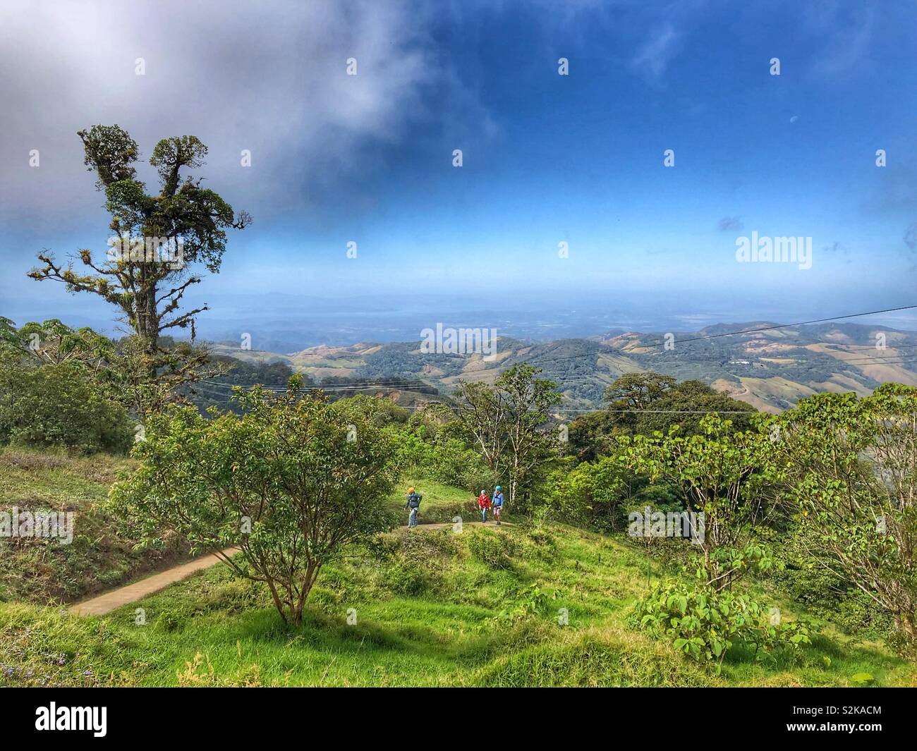 Beautiful lush Costa Rica. - Smartphone Captured Stock Image