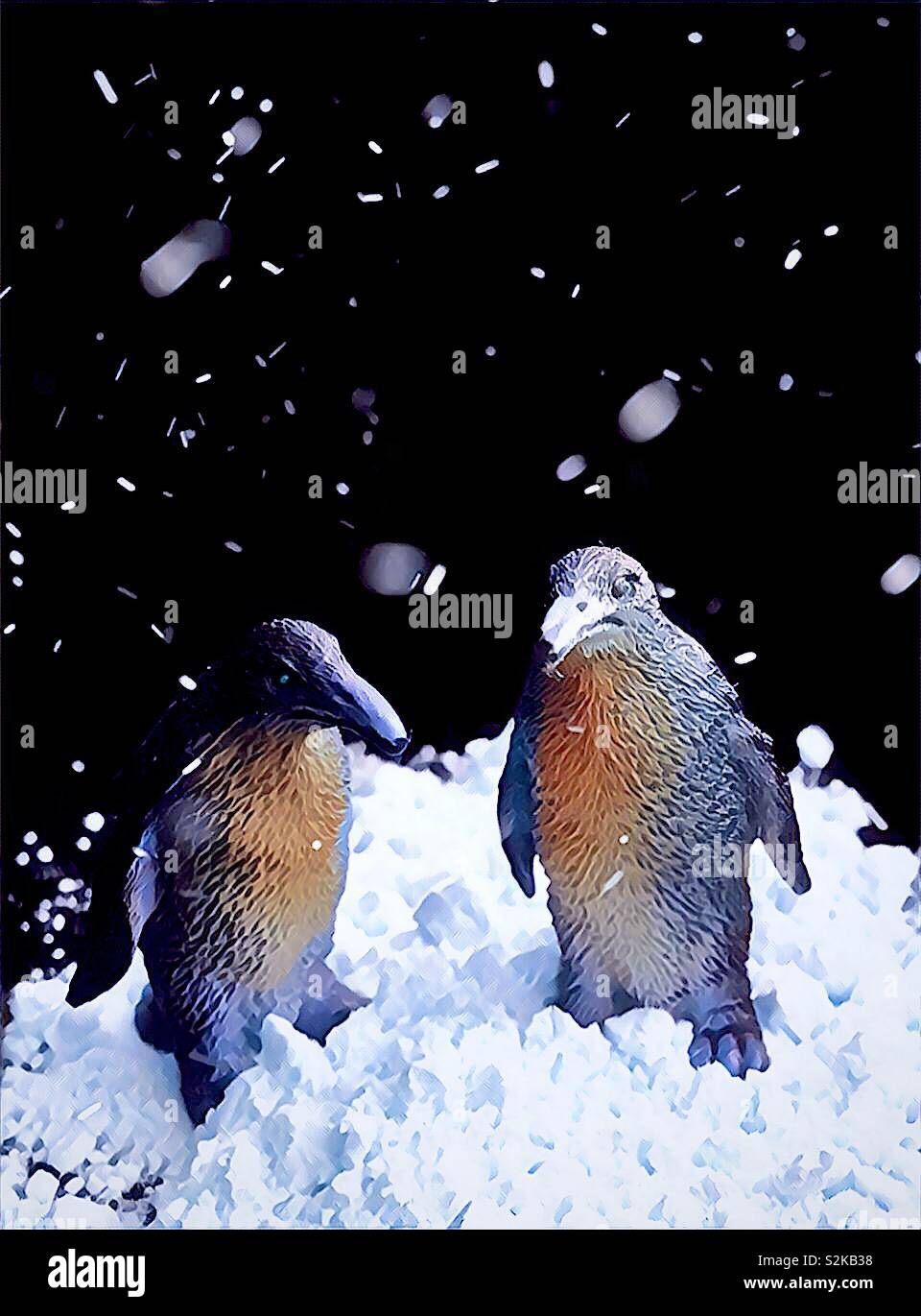 Graphic of penguins in the snow created using iPhone and apps.  Chilly cold weather and rising fuel costs.  Keep cool - Smartphone Captured Stock Image