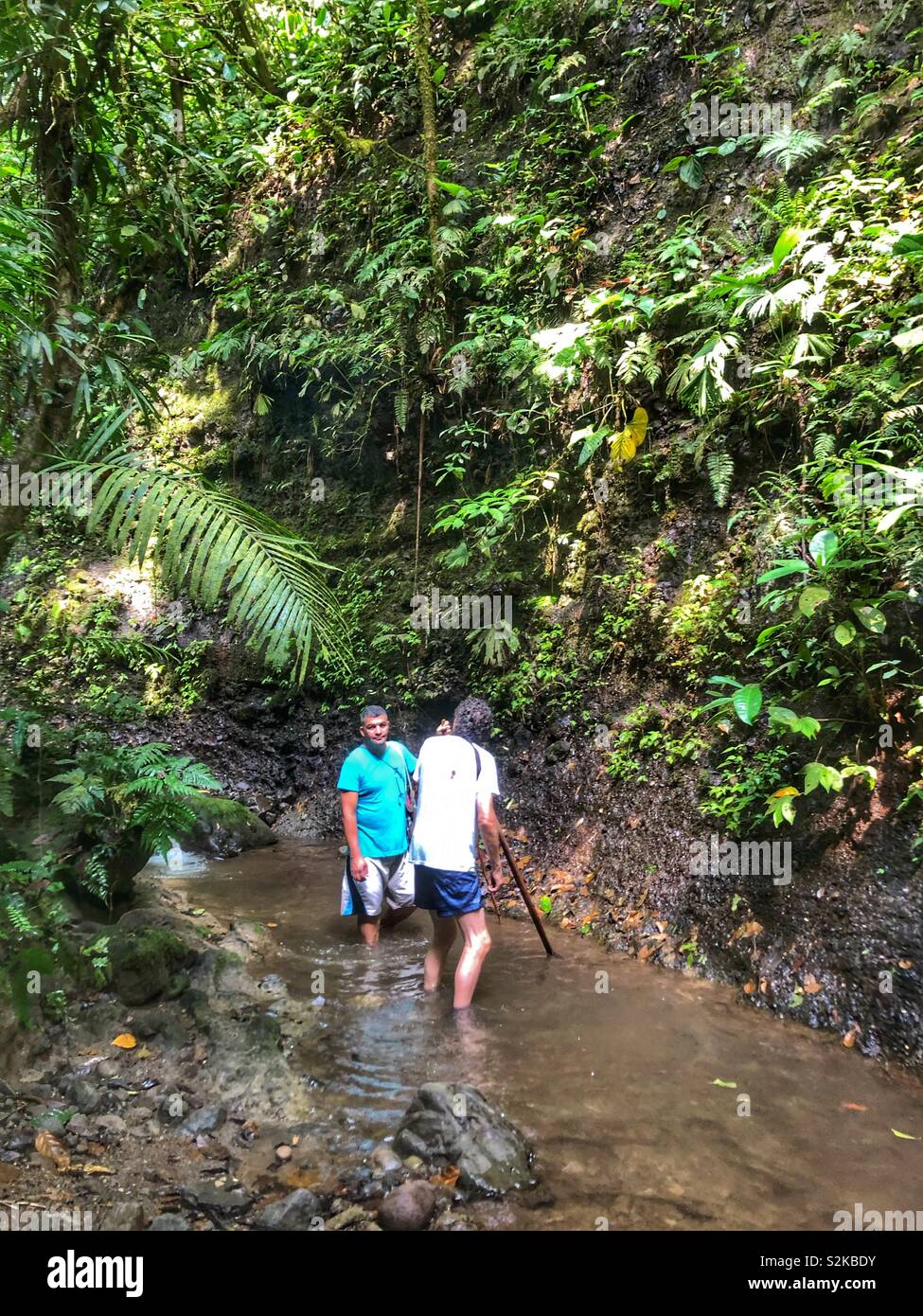 Trekking through the a river in the rain forest in Costa Rica. - Smartphone Captured Stock Image