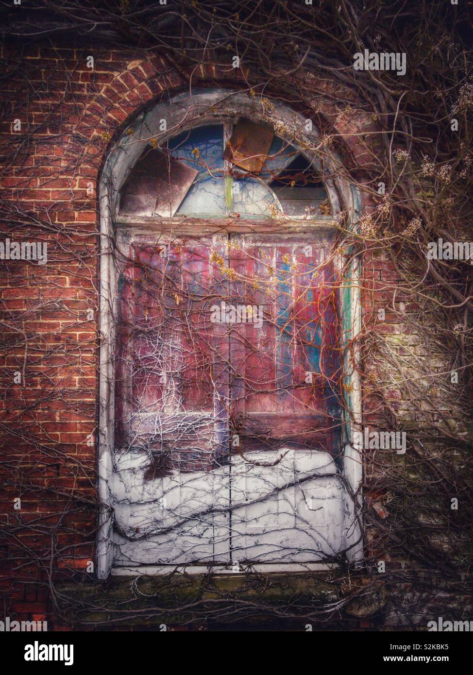 Vine covered door in abandoned brick building - Smartphone Captured Stock Image