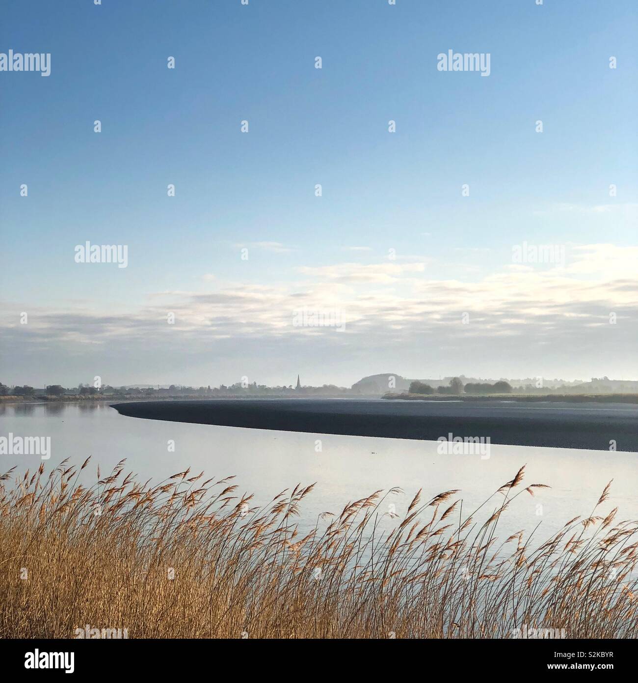 Reeds along the bank of the River Severn - Smartphone Captured Stock Image Reeds along the bank of the River Severn - Smartphone Captured Stock Image