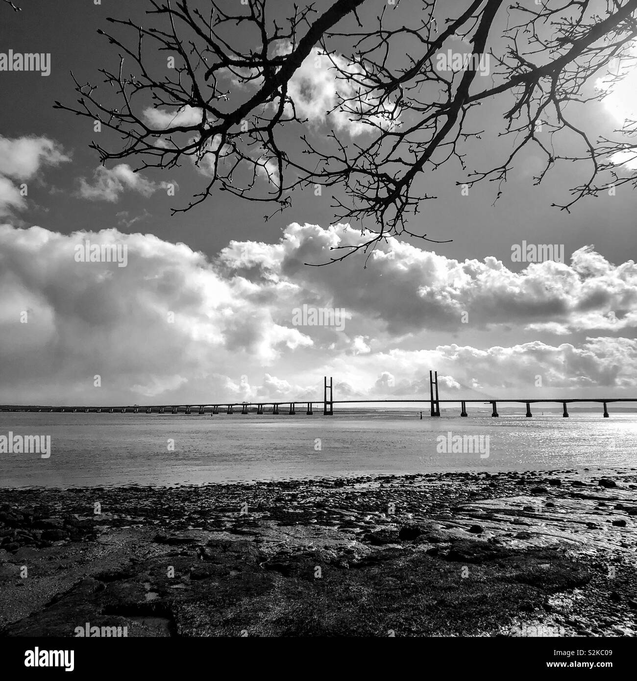 Prince of Wales bridge - Smartphone Captured Stock Image