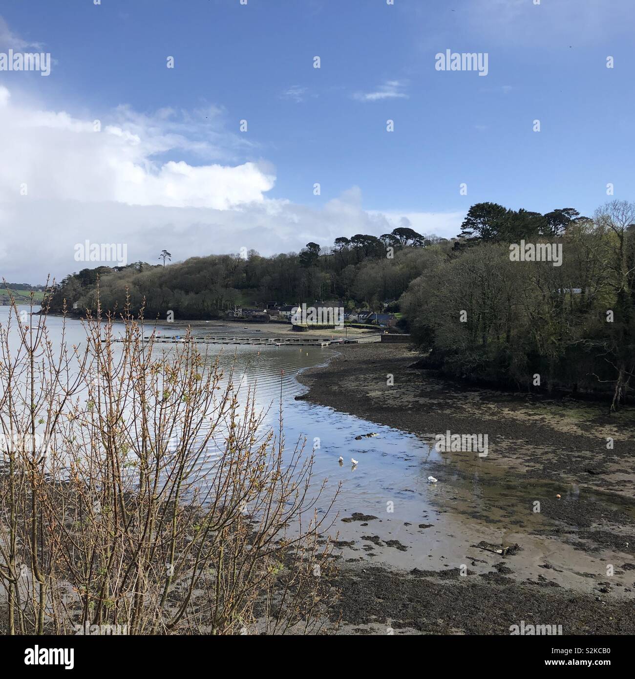 Fal estuary Cornwall Helford Stock Photo Alamy