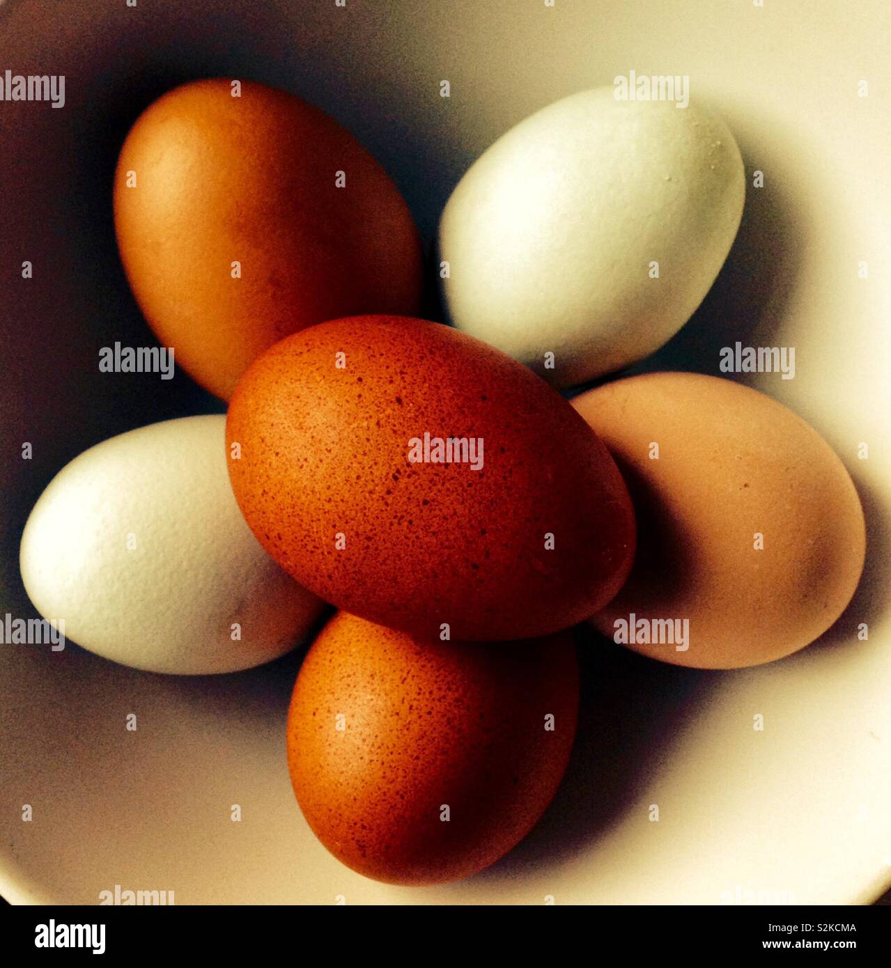 Fresh free range eggs in a bowl Stock Photo Alamy