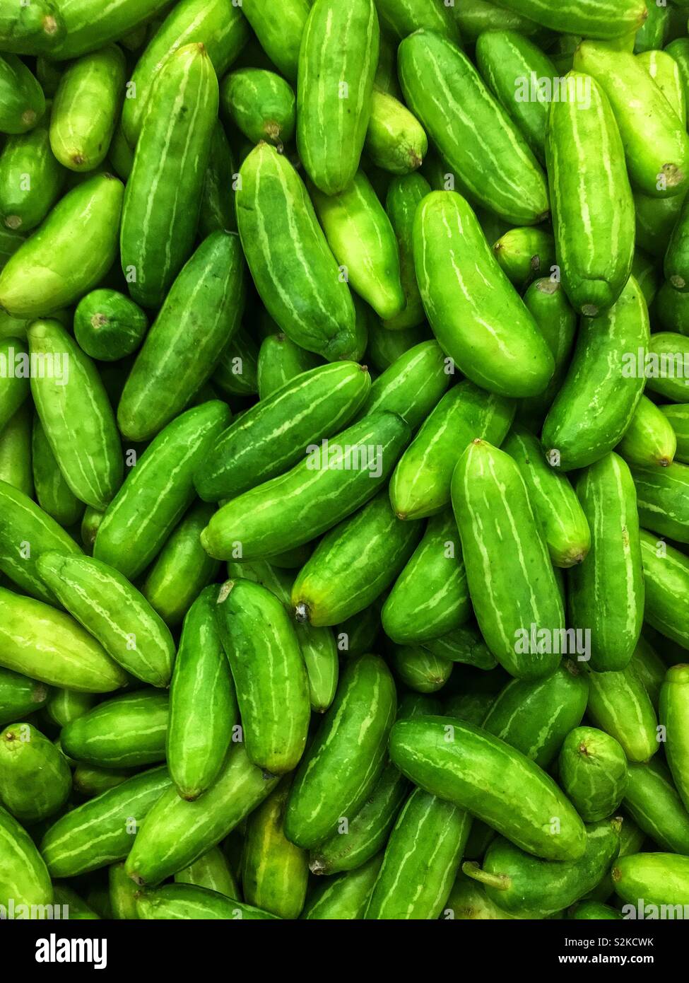 Full frame of fresh delicious green Coccinia grandis, the ivy gourd, the scarlet gourd, tindora, and kowai fruit on display and for sale at the local specialty produce vendor. Stock Photo