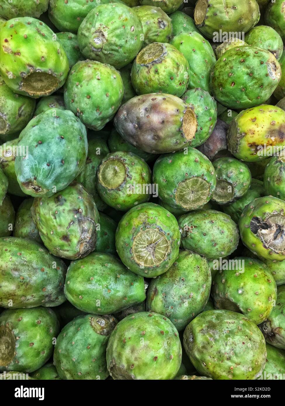 Full frame of fresh delicious ripe green Opuntia ficus-indica (prickly pear) cactus fruit on display and for sale at the local produce vendor. - Smartphone Captured Stock Image