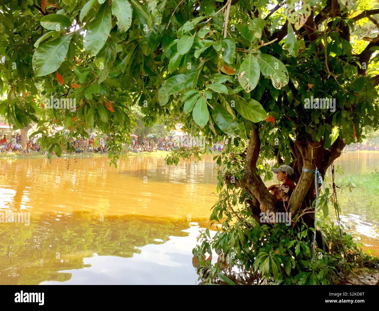 Boy sitting in tree during water festival, Siem Reap, cambodia Stock Photo