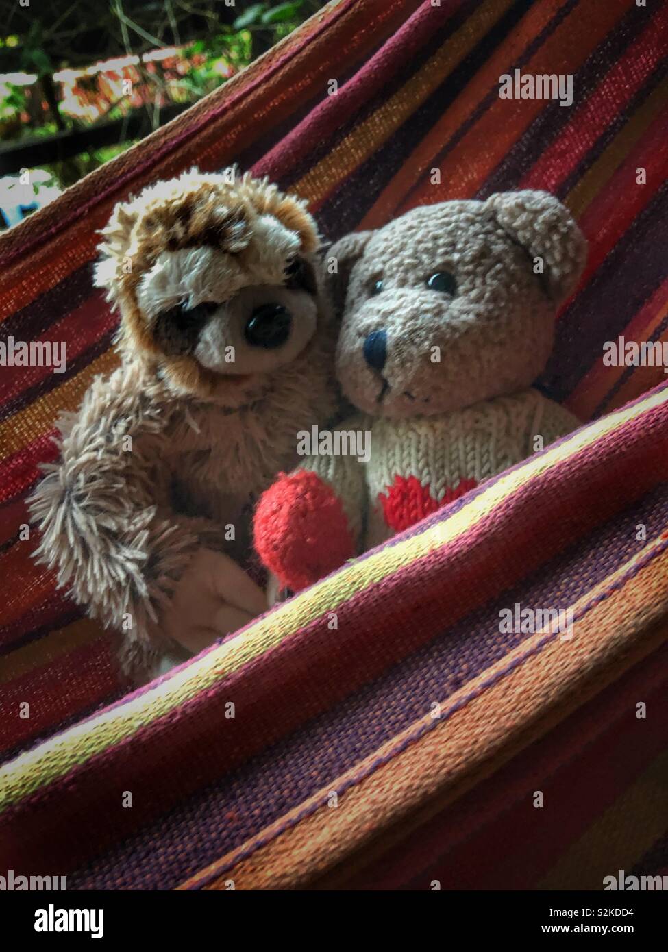 Plushie pals swinging in a hammock. - Smartphone Captured Stock Image