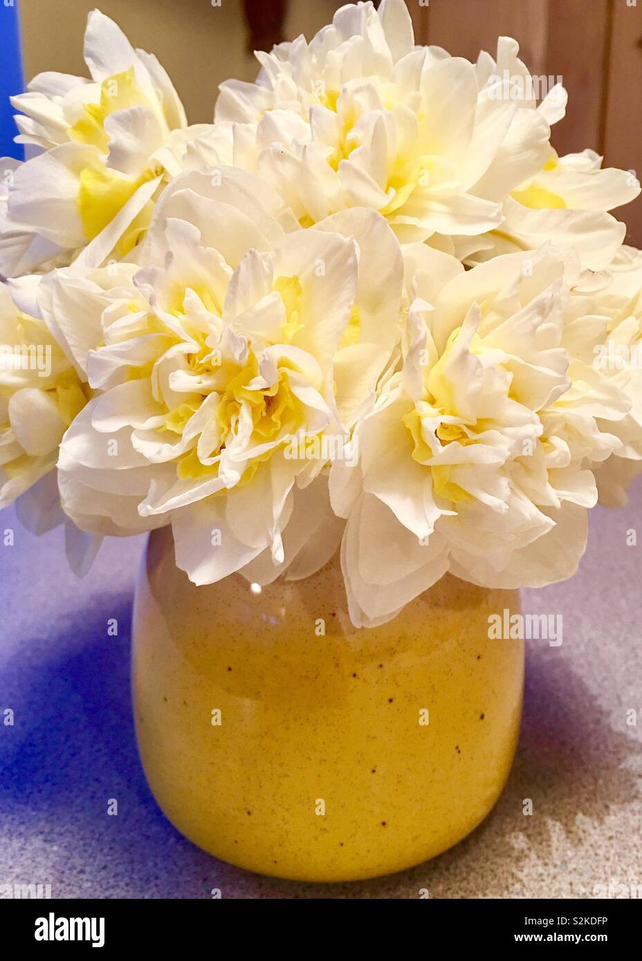 Daffodils in a yellow vase Stock Photo Alamy