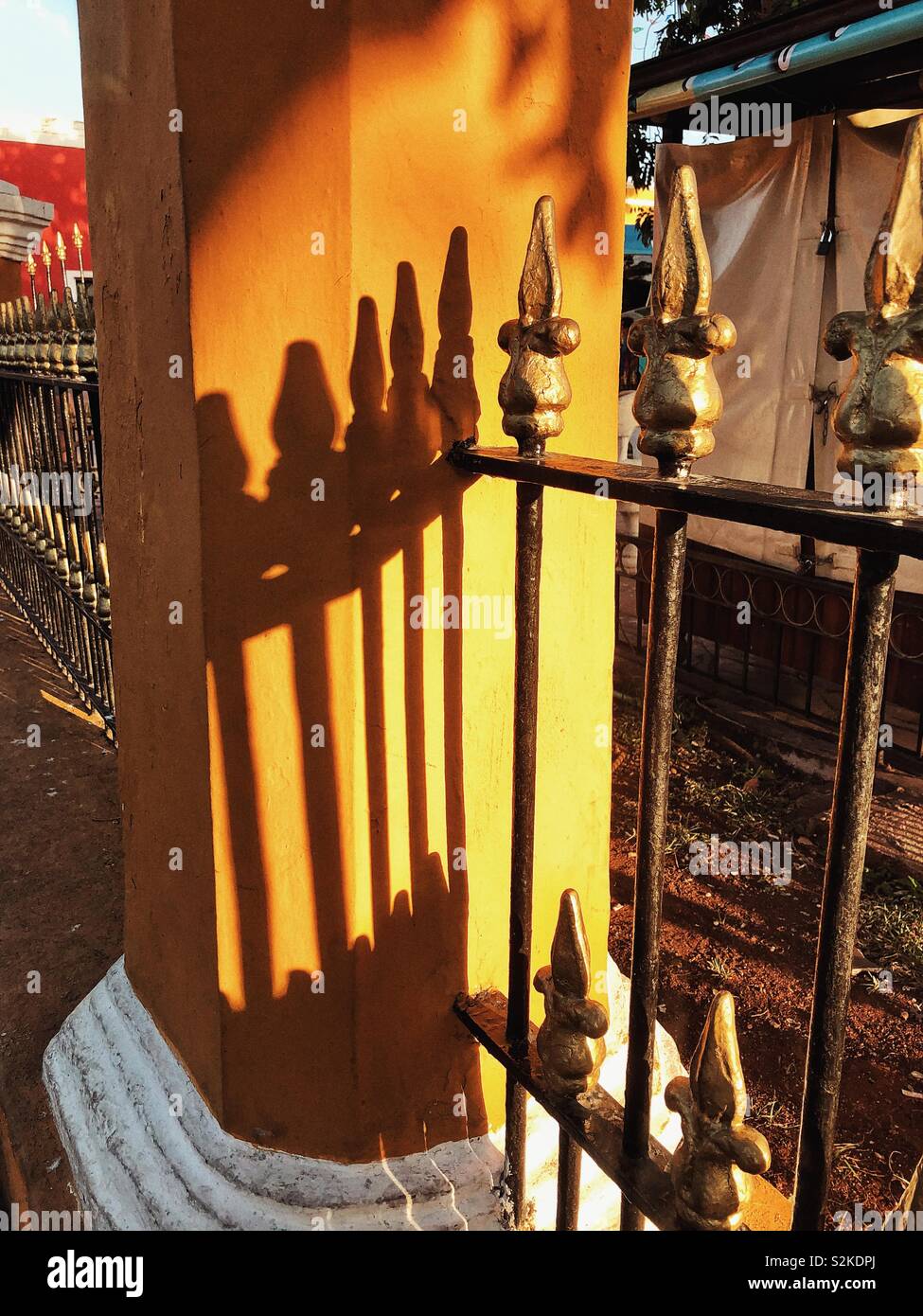 The golden hour - Smartphone Captured Stock Image