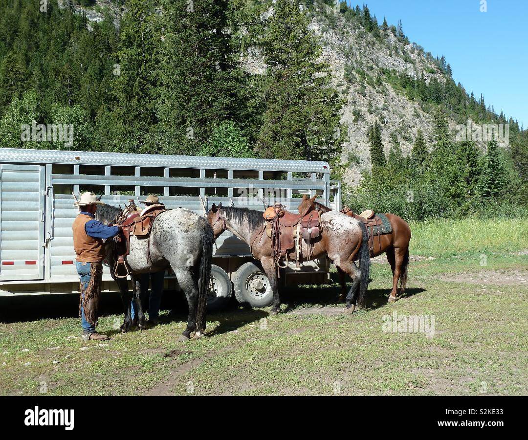 Wyoming Cowboys Saddling up their horses For a mountain trail ride - Smartphone Captured Stock Image
