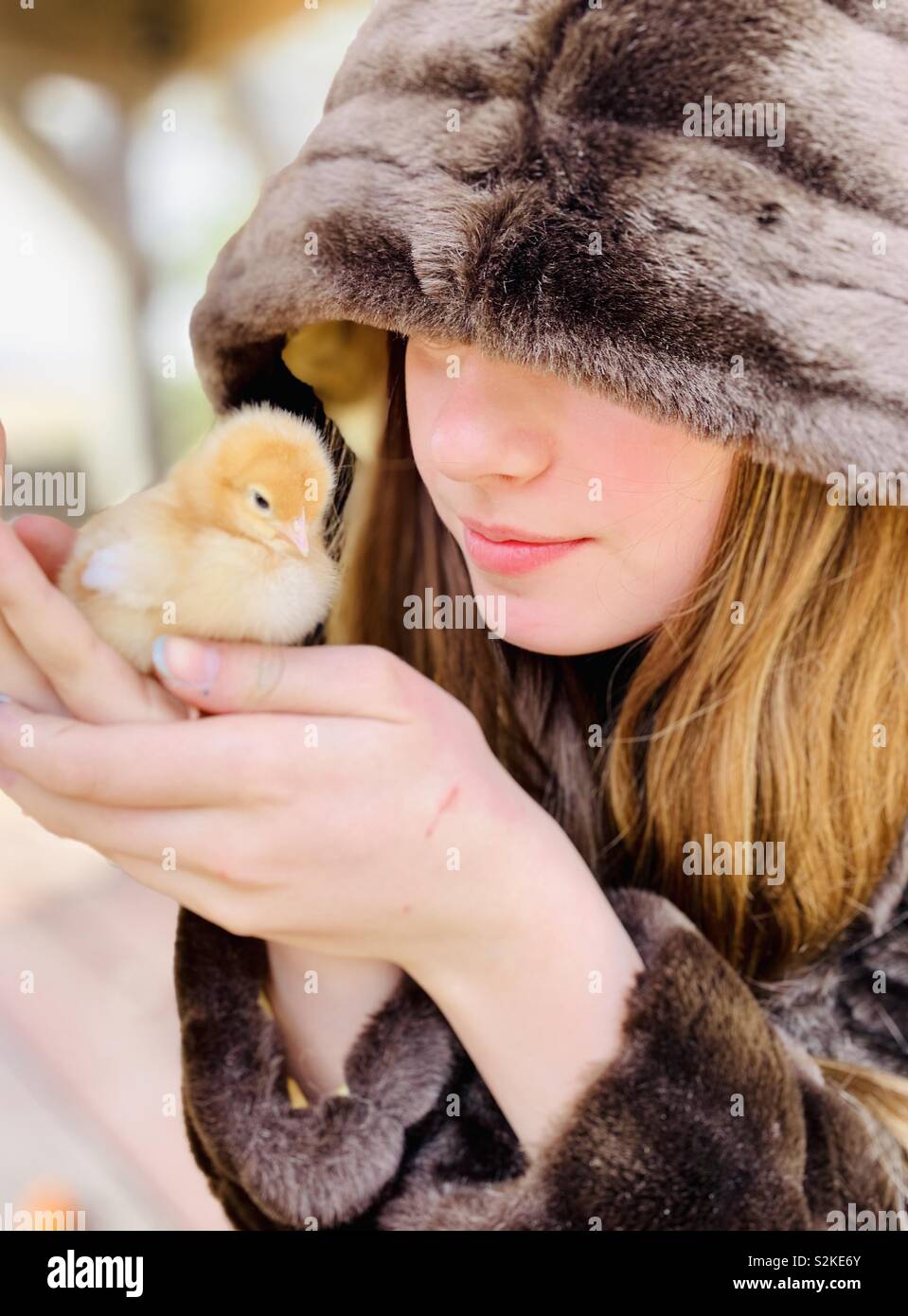 A girl holding a baby chick Stock Photo