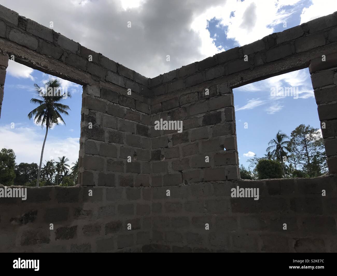 A room with a view; palm trees and bright sky - Smartphone Captured Stock Image