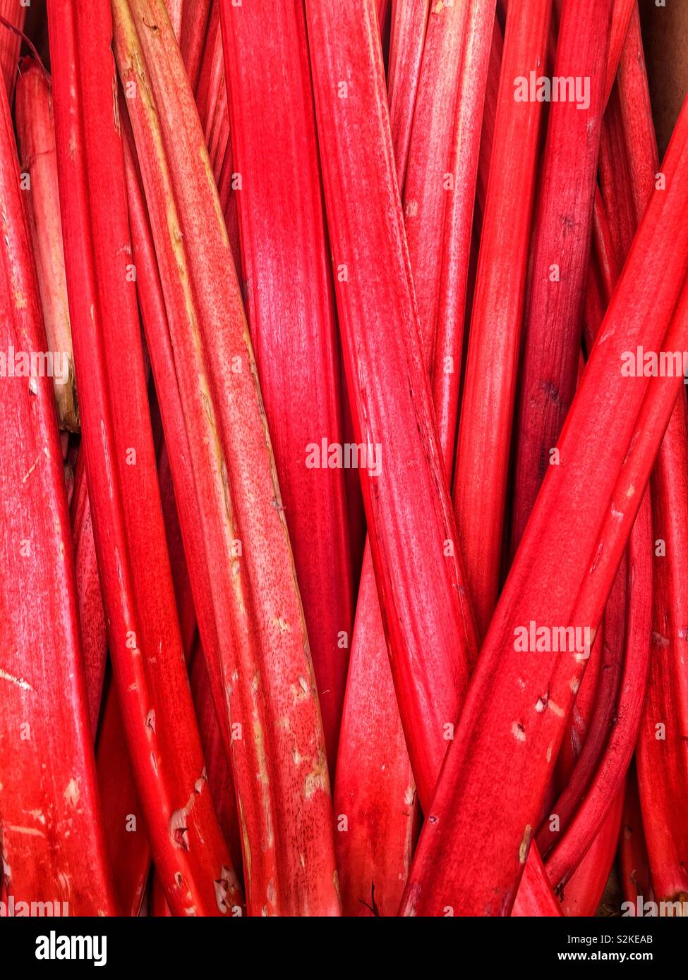 Full frame of fresh delicious ripe Red rhubarb on display and for sale at the local fresh produce market. - Smartphone Captured Stock Image