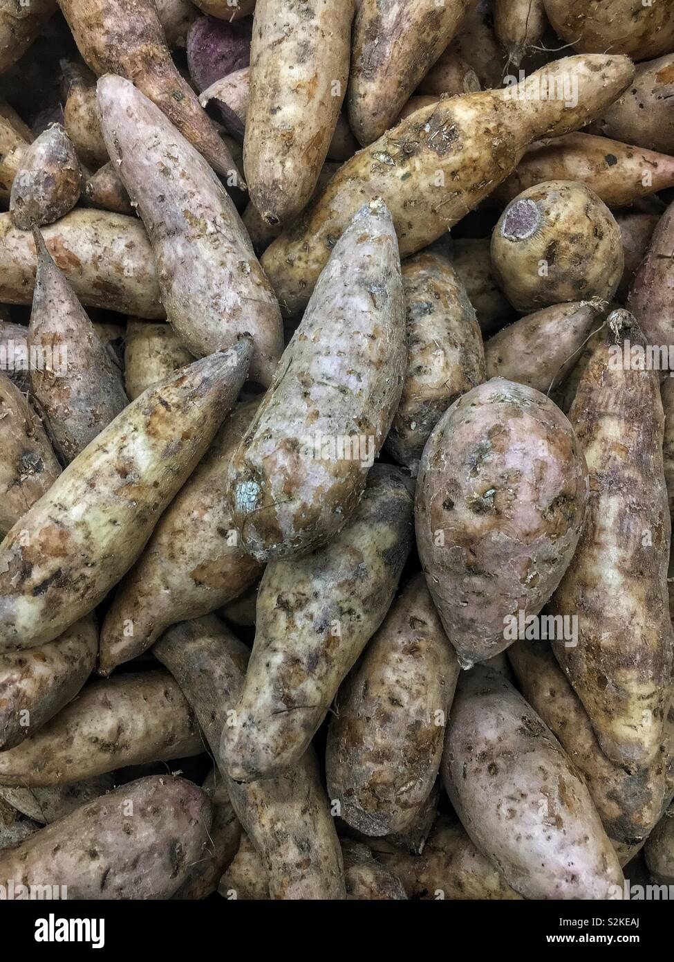 Full frame of fresh delicious ripe Dioscorea alata, purple yams, ube, or greater yams on display and for sale at the local produce market. Stock Photo