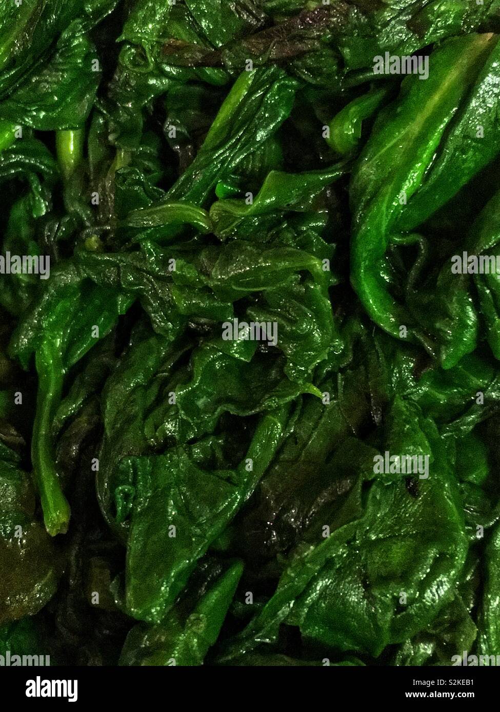 Full frame of fresh delicious and tasty sautéed green spinach. - Smartphone Captured Stock Image
